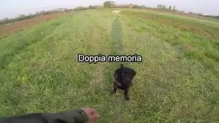 Koa 7 mesi esercizi base riporto