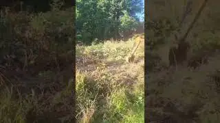 Transforming a garden in one day with my mini digger and driver hire service