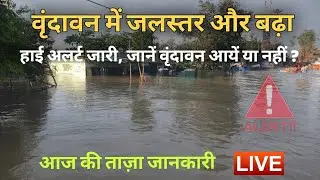 Vrindavan flood 2025 | Vrindavan current situation | Vrindavan flood news