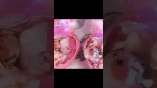 Secret Crush Pets | Secret Crush Mini Pets