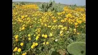 تيات صبويا اغنية مهدات الى ساكنة دوار تكنزار بجماعة صبويا