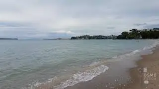 Kohimarama Beach - DJI Osmo / Samsung S7