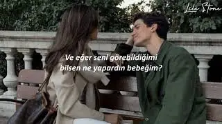 Taylor Swift - I Can See You (From the Vault) (Türkçe çeviri)