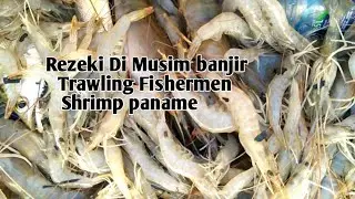 Menangkap Udang Vaname Dengan Cara Trawl, Seketika Air banjir Turun Kemuara, Trawler Fishing Boat..!