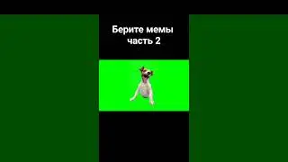 #мемы #tiktok #2024