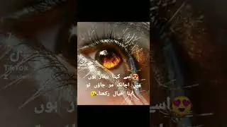 My blog UAE