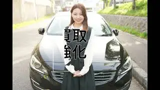 Bill Lawrence テレキャスタイプ アーム付き！　　　　　　　　　　　　　　　　　No262