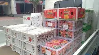 Begini Bila Seles Buah Import Datang Bersama / Ojo Bandeng ke Harga