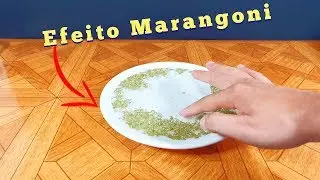 Experimentos em casa | Efeito Marangoni
