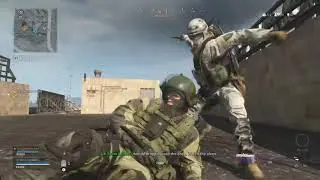 Call Of Duty Modern Warfare/ NEW OTTER SKIN
