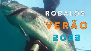 Robalos Ver&atilde;o 2023