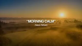 Mountain Stream Morning 🌄 | Relaxing Nature Sounds, Birds & Mist | Rush Relax