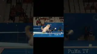 Fun filled AI generated cat diving in a pool #cat #swimming #ai #anime #animals #jump