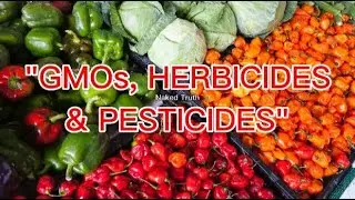 The Great Debate: GMOs and the Health Risks of Herbicides and Pesticides