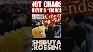 Shibuya Crossing Isn&rsquo;t Chaos&mdash;It&rsquo;s a Choreographed Dance (Tokyo Secret) #shibuyacrossing
