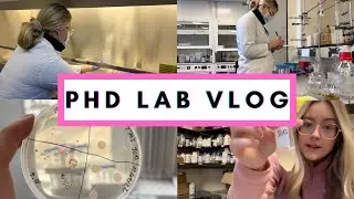 PHD LAB VLOG: I can’t believe what’s happened!!!