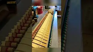 Piano action (internal mechanism)repair and restoration various pianos #piano #pianorestoration