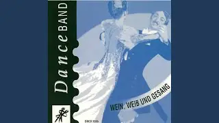 The Blue Danube (Viennese Waltz / 60 Bpm)