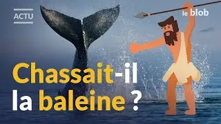 Des os de baleines pr&eacute;historiques dans les Landes : que font-ils l&agrave; ? | Actu de science