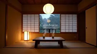 Relaxing Music & Rain Sounds | Early Morning Rain Ambience | Relaxing Music for Peaceful Mornings