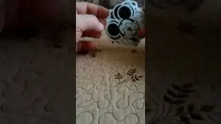 Чегевара и все все все ))