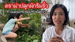 ดราม่าปลูกผักริมรั้ว ทำไมคนไทยชอบทำผิดกฎ ตีเนียนปลูกล้ำเกินพื้นที่คนอื่น