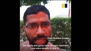 cow urine gau mutra party | yeshu news hindi | christian news tak | News Expose Asia