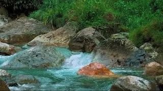 Relaxing River Stream Ambience for Sleep All Night | Natural Water Sounds for Calm and Stress Relief