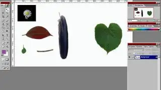 Video Corso Photoshop 7   Lezione2 - Clip 010 di 159 - Introduzione