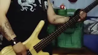 Misfits - Descending Angel (bass cover)