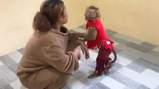 Prince Jason Humble Beg Mom Tell To Participate Dance & Sing Don't Stop