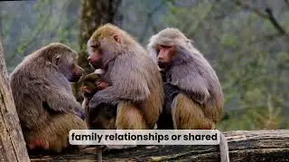 10.6.2 Entity Mapping: People, roles, relationships, and influence networks