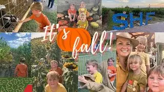 Southern Hill Farms | Fall 2022