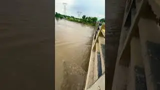 Indus river flood warning ⚠️ #flood #water