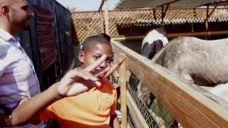 Moonwater Farm