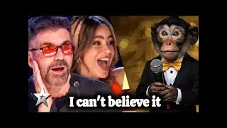 First Monkey to Sing on AGT Leaves Judges in Tears  Emotional Audition