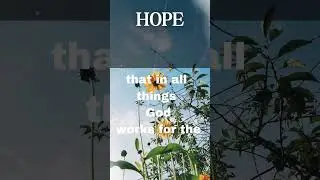 Catholic hope isn&rsquo;t wishful thinking &mdash; it&rsquo;s trust in God&rsquo;s promise #catholicvoice #catholicfamilies