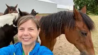 Anne Marie Moss - 2023 Ag Connection Award
