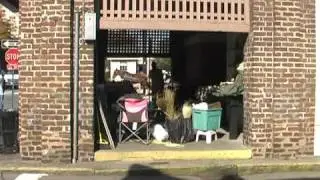 The Market