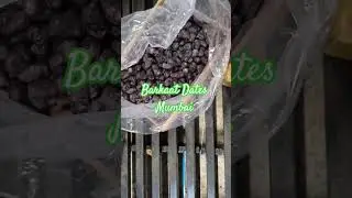 MAZAFATI Dates kimia WET DATES , DRY DATES ,  BAM IRAN MAZAFATI DATES #mabroomdates