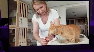 NOVA TV In Magazin & Royal Cat Hotel