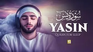 Surah Yasin سورة يس | Peaceful Quran for Night Comfort & Relaxation#lofiquran