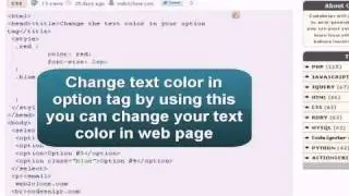 CSS Tutorial : CSS change the text color in option tag