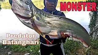 Casting Lais Tembiring Monster || Ikan Sengarat Predator Batanghari