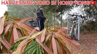 The Hong Kong You&rsquo;ve NEVER Seen | YUENLONG