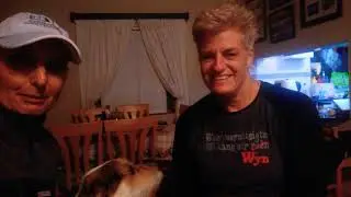 Bespoke In-Home Dog Training Cape Town, Port Elizabeth & Garden Route | 5-Star Client Review