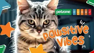 Discover Amazing Deals on Cat Accessories - Petzone Promotion!
