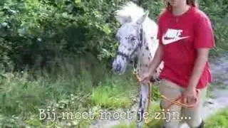 Donder