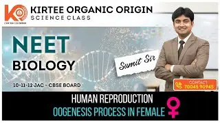 #-HUMAN reproduction -#Oogenesis  process in female -class 12th 