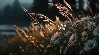 Serene Acoustic Yoga Music | Golden Hour Flow & Peaceful Instrumental Melodies